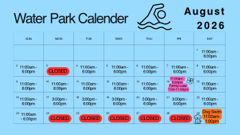 Summer Concert Series at the Amphitheater
